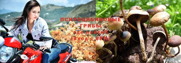 МДПВ Козельск